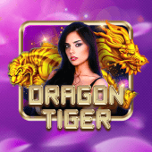 Dragon Tiger on Hit Club 2026 live casino